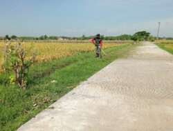 Tinggal 3 Hari Penutupan Satgas TMMD Lakukan Pemeliharaan Jalan Cor