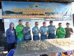 Ketahanan Pangan, Lantamal V Panen Udang Vaname