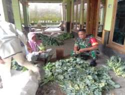 Babinsa Selo Jalin Komsos Dengan Petani Desa Suroteleng