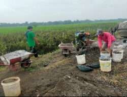 Membangun Desa Bersama Warga, Babinsa Kerja Bakti Pengecoran Jalan