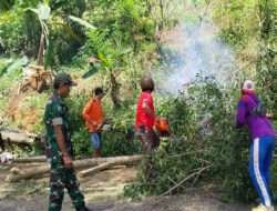 Misi Keselamatan: TNI dan BPBD Trenggalek Berantas Bahaya dengan Penebangan Pohon