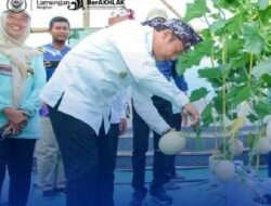 Festival Kupat Lepet Gunung Menjuluk dan Panen Melon Perdana