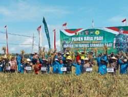 Dandim 0801/Pacitan Bersama Pangdam V/Brw Ikuti Agenda Panen Raya di Kabupaten Ngawi