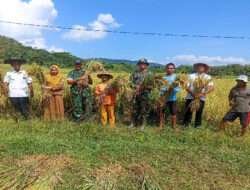 Babinsa Di Giriwoyo Dampingi Petugas Laksanakan Pengubinan Sawah Milik Suratno