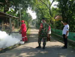 Cegah Penyakit DBD Babinsa Banyudono Bantu Fogging di Desa Bendan