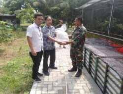 Ubah Lahan Kosong Menjadi Produktif, Langkah Kreatif Kodim 0801/Pacitan Melalui Budidaya Ikan Lele