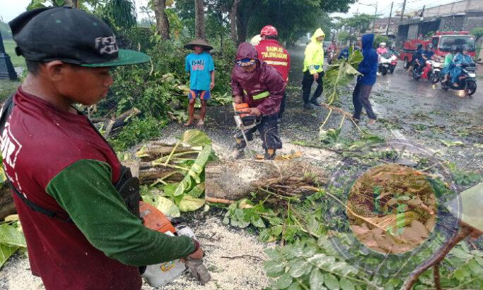 Polisi dan TNI Bersama Warga Gotong Royong Tangani Bencana Angin Kencang