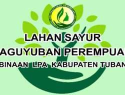Memanfaatkan Ruang dan Waktu bersama Paguyuban Perempuan, Binaan LPA, Tuban