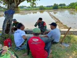 Babinsa Teras Jalin Komunikasi dengan Petani