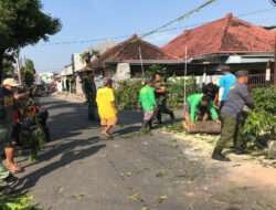 Semangat Gotong Royong Terus di Pupuk, Koramil 04/Jebres Bersama Masyarakat dalam KBD Tahap I TA.2024