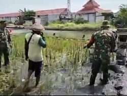 Babinsa sebagai Motivator dalam Upaya Meningkatkan dan Mewujudkan Ketahan Pangan