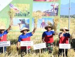 Dandim 0802/Ponorogo Dampingi Danrem 081/Dsj Hadiri Panen Raya Padi