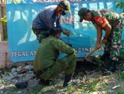 Kurangi Pemanasan Global, Babinsa Banjarsari Bersama Satlinmas Laksanakan Penanaman Pohon