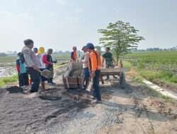 Gerobag Kayu Praktis dan Menjadi Idola alat Angkut Langsiran Material di Lokasi TMMD