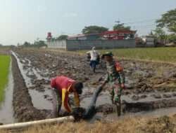 Melalui Program Pompanisasi, Babinsa Koramil Karanganyar Bantu Petani