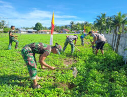 Satgas TMMD Kodim 1307/Poso dan Warga Tanam Pohon Untuk Lestarikan Lingkungan