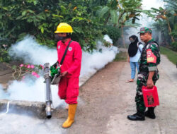 Babinsa Bendungan Pendampingan Giat Fogging Basmi Sarang Nyamuk