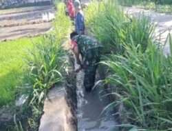 Gotong Royong Bersama Petani, Babinsa Kodim 0802/Ponorogo Bersihkan Irigasi Sawah