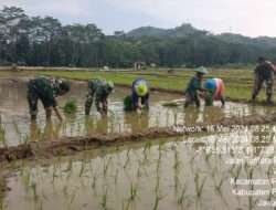 Optimalkan Peran Babinsa, Kodim 0801/Pacitan Berkontribusi Jaga Ketahanan Pangan