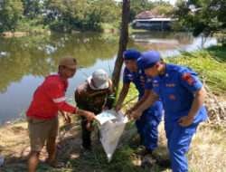 Peduli Lingkungan, Polresta Sidoarjo Bersama Warga Bersihkan Sampah di Pesisir Pantai