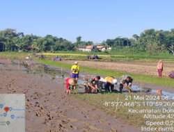 Bantu Petani Tanam Padi, Ini Harapan Babinsa Koramil 0801/11 Donorojo