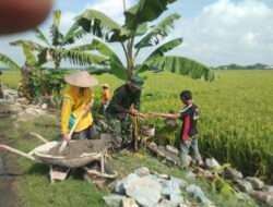Bangun Talud, Aktifkan Saluran Irigasi Desa