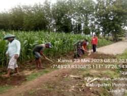 Berpartisipasi Membangun Desa, Babinsa Kodim 0802/Ponorogo Kerja Bakti Ratakan Bahu Jalan