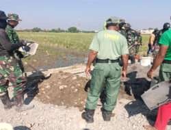 Keterlibatan serta Soliditas Unsur Linmas Desa Wirun Menambah Semangat anggota Satgas TMMD