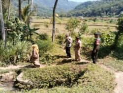 Babinsa Koramil 0801/07 Ngadirojo Melakukan Pendataan Lahan Pertanian di Wilayah Binaannya