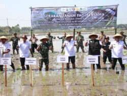 Tingkatkan Produksi Padi dan Ketahanan Pangan Nasional, Dandim 0805/Ngawi Bersama Forkopimda Tanam Padi Bersama