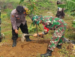 Koramil 1615 Haurgeulis Laksanakan Karya Bakti Penanaman Pohon di Lahan Perkebunan Desa Mekarwaru