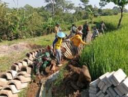Bersama Warga, Babinsa Koramil Ngrambe Gotong Royong Perbaiki Saluran Irigasi Sawah