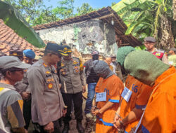 Polres Lumajang Berhasil Amankan Tiga Pelaku Pencurian Sapi