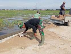 Finishing, sasaran fisik Pengecoran Jalan Sisakan Pekerjaan Pengurugan Bahu Jalan
