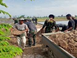 Droping Tanah urug tidak ada kendala, Proses Finishing Pengurugan Berm Terus Berjalan
