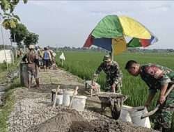 Perlancar Akses Transportasi, Babinsa Bersama Warga Perbaiki Jalan Persawahan