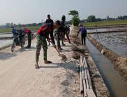 Kejar Target finishing, Berm Rabat Beton jalan di Dk. Pabrik, desa Wirun terus dilakukan pengurugan