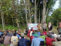 Babinsa Koramil Jogorogo Bersama Instansi Terkait dan Warga Lakukan Gropyokan Tikus di Sawah