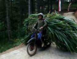 Hasil TMMD Ke-120 Kodim 0806/Trenggalek: Warisan Berharga bagi Desa Tanggaran