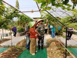 Dandim Kulon Progo Hadiri Panen Anggur dan Rodshow UMKM