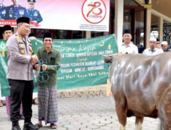 Kapolda Jatim Berkurban 10 Sapi dan 17 Kambing untuk Ponpes, Ormas dan Organisasi Kemahasiswaan di Banyuwangi