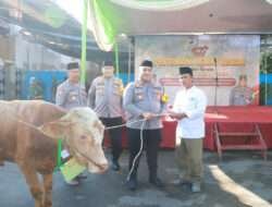 Hari Raya Idul Adha 1445 H, Polres Pelabuhan Tanjung Perak Salurkan 49 Hewan Korban