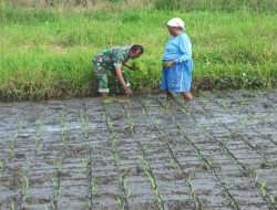 Babinsa Harus Aktif dan Beri Kontribusi di Wilayah Binaanya