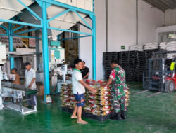 Inilah Peran Babinsa dalam Pemantauan Stok Beras di Bulog