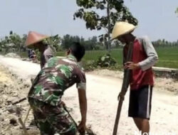 Anggota TNI Ngawi Melaksanakan Perbaikan Jalan Persawahan Bersama Warga Binaan