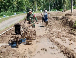 Tunjukkan Tekad Semangat Kerja Keras, Babinsa Koramil 0801/10 Punung Hadir di Tengah Kesulitan Petani