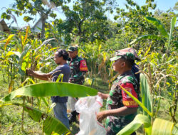 Kepedulian Anggota TNI dan Masyarakat di Ngawi dalam Upaya Mendukung Program Ketahanan Pangan