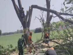 Kerja Bakti Anggota TNI di Paron Ngawi dan Warga, Lancarkan Transportasi Akibat Pohon Tumbang