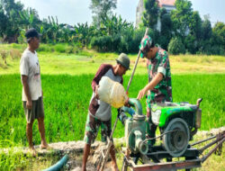 Dukung Ketahanan Pangan Wilayah, Danramil 01/Laweyan Bersama Babinsa Karangasem Dampingi Kelompok Tani