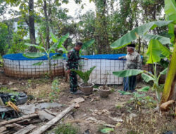 Babinsa Nogosari Motivasi Peternak Ikan Lele